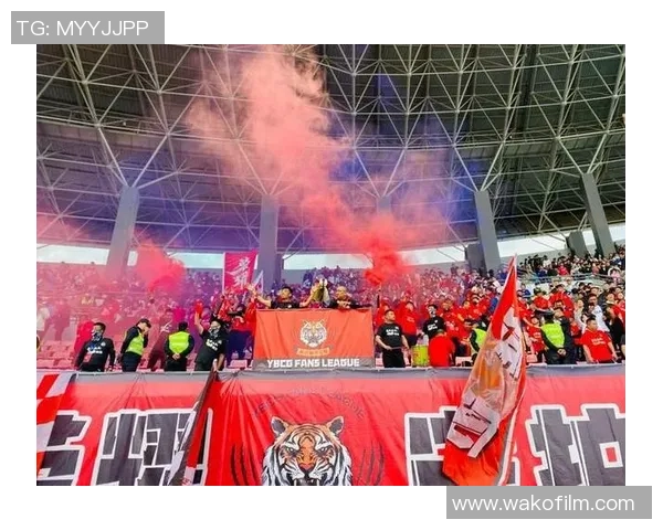 2018中甲第29轮精彩对决延边队主场迎战石家庄队全力争胜