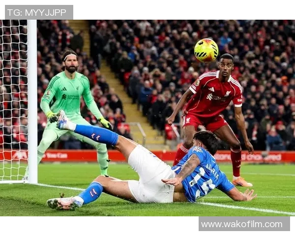 桑德兰主帅：不管首发仍是候补都表现出色，我为我的球队自豪