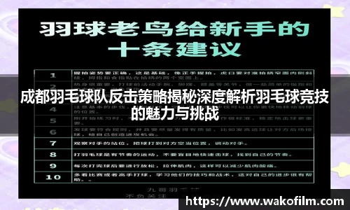 成都羽毛球队反击策略揭秘深度解析羽毛球竞技的魅力与挑战